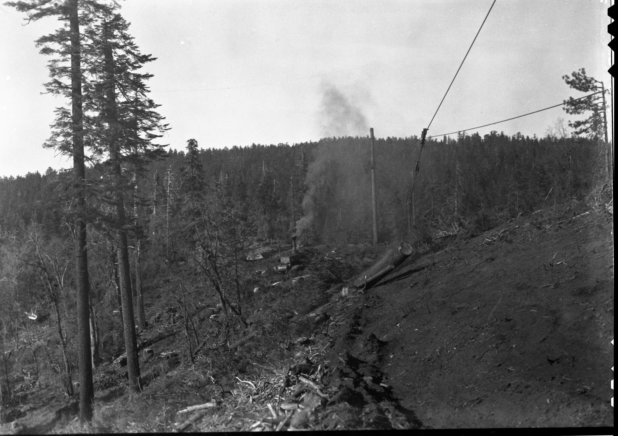 Yosemite Lumber Co. Skyline method of logging.