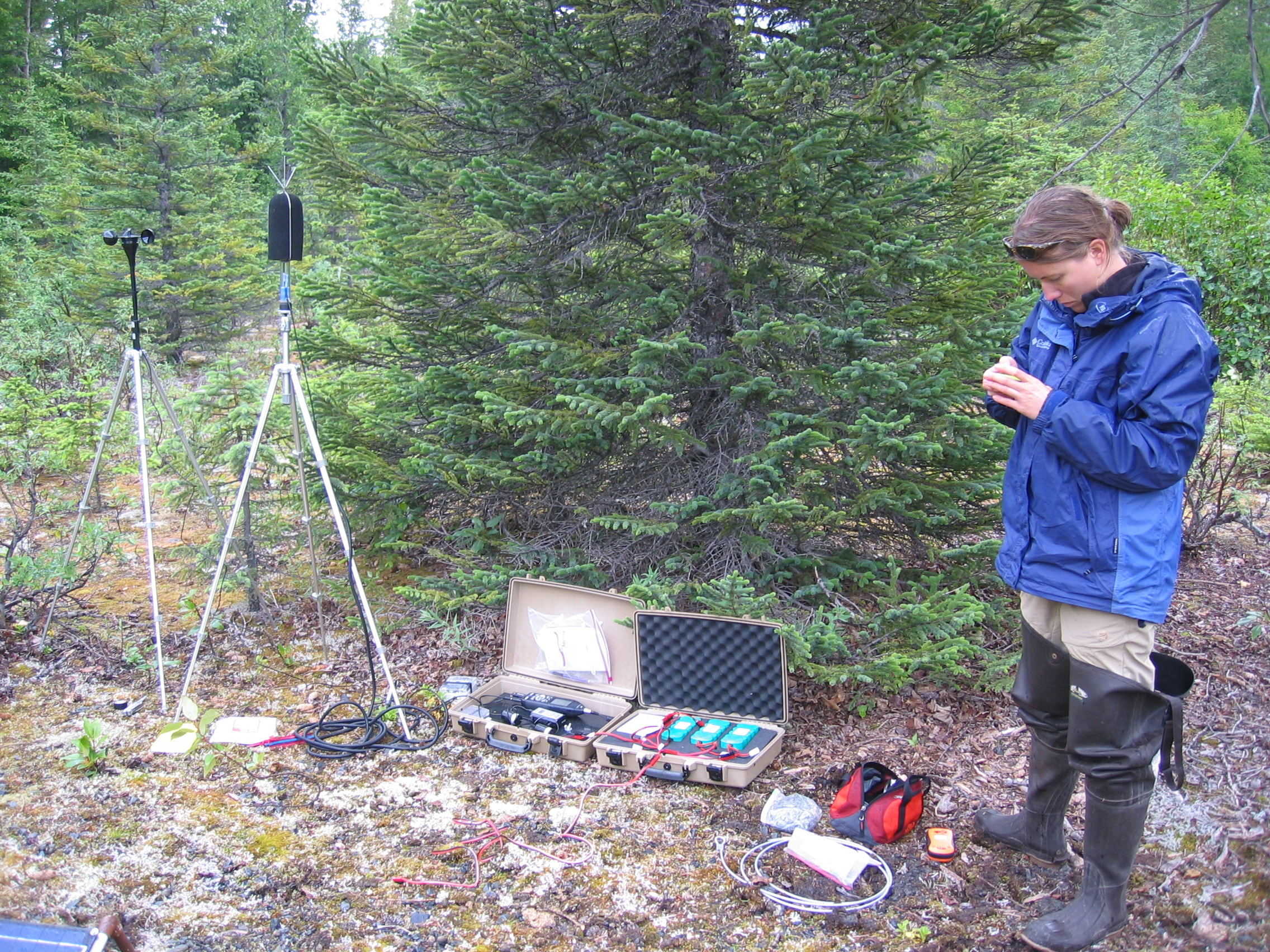 Setting up microphones for soundscape monitoring research