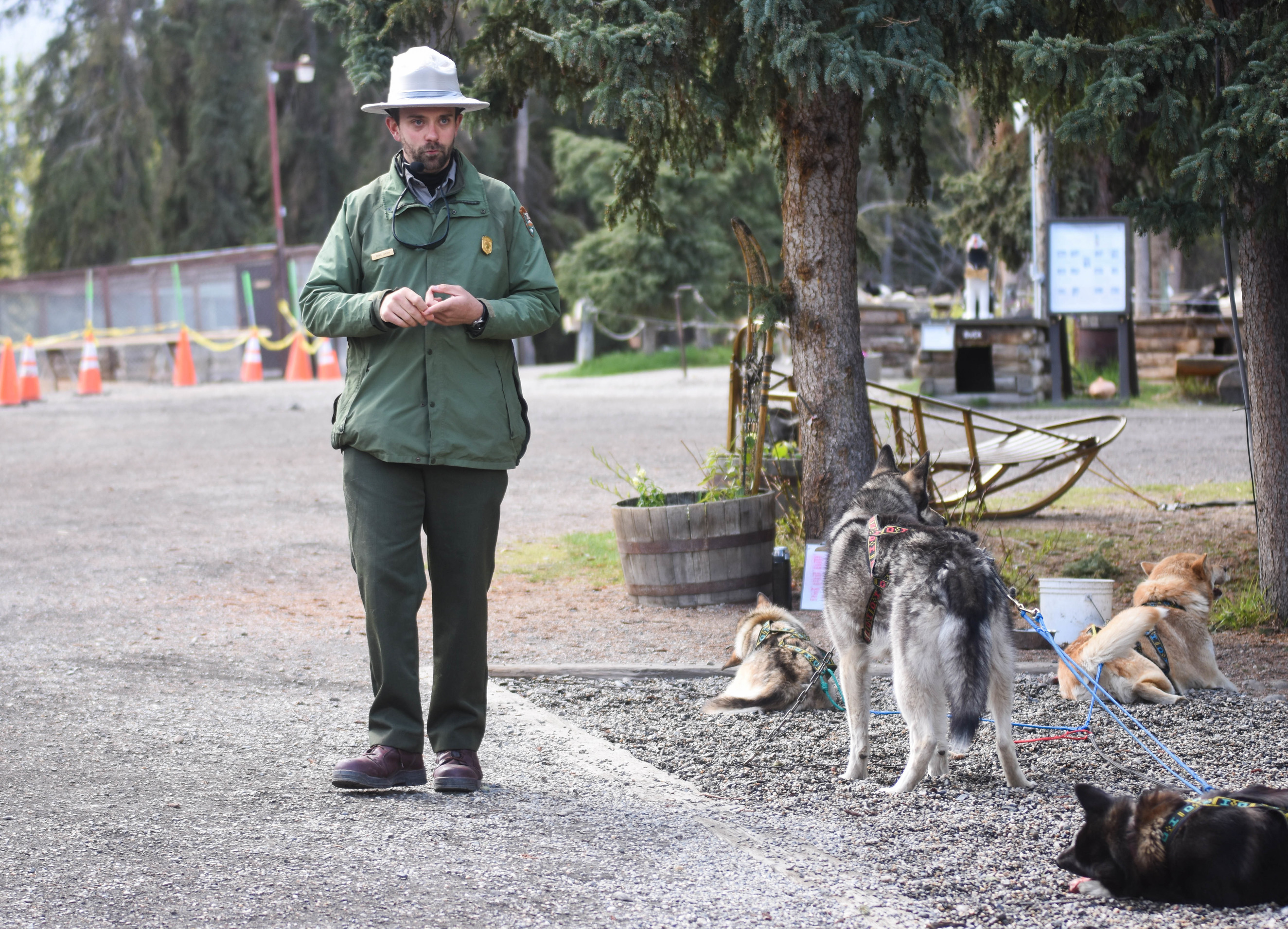ranger standing next to four sled dogs