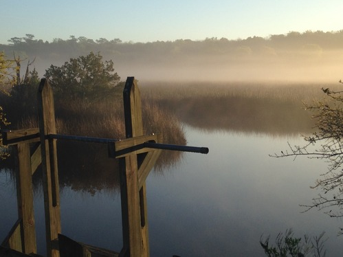 This is a color nature photograph where the landscape is the focus of the photo. There is a wooden structure in the bottom left corner of the photo with two vertical yellow brown wooden stakes that has a triangular point at the top and a black metal pole that spans the length between the two stakes. The water below is murky. Tall, tan stalks of grass and a large tree emerge from the water. There is a ridge of trees but the rest of the landscape is obscured by a thin layer of fog that stretches across the entire length of the photo. The sky has a gradient of white to muted light blue. 