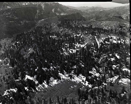 Private lands - Langston Mountain and Lee Valley, aerial view for land appraisal purposes.