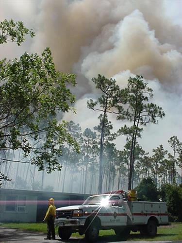 2001 Pinelands prescribed burn, Everglades NP