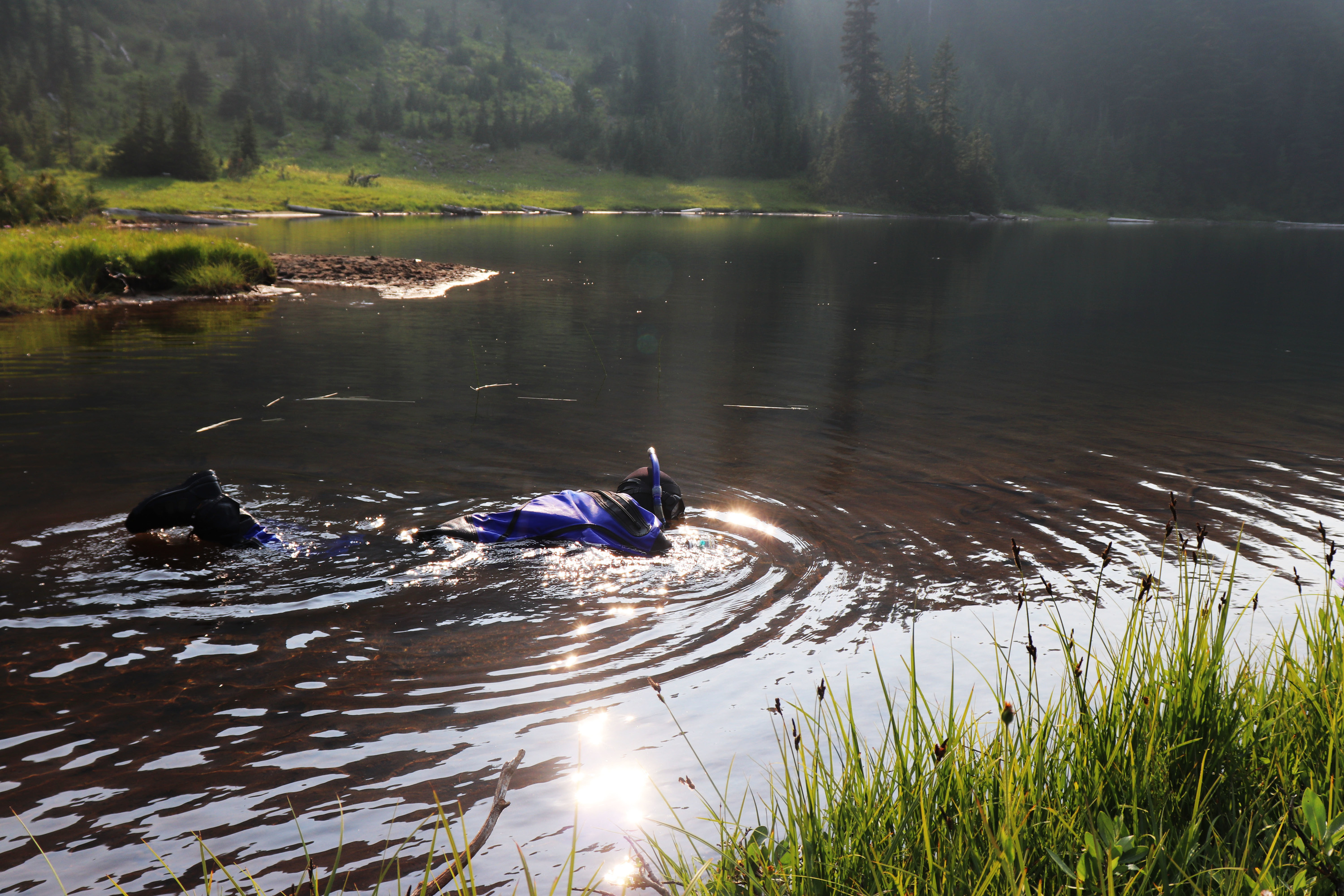 An employee snorkels in a lake with the light reflecting off the water. 