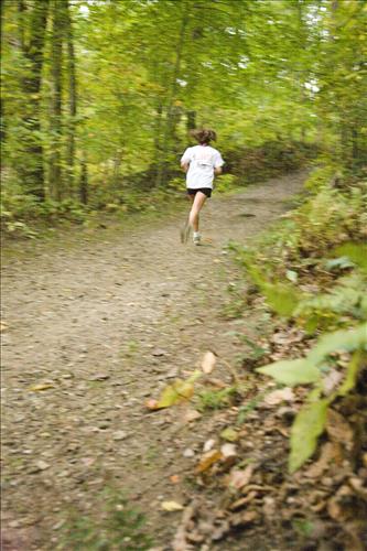 Fall Fun Run in the woods