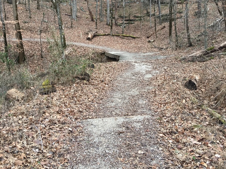 View from middle of dirt path with leaves and trees bordering the trail.