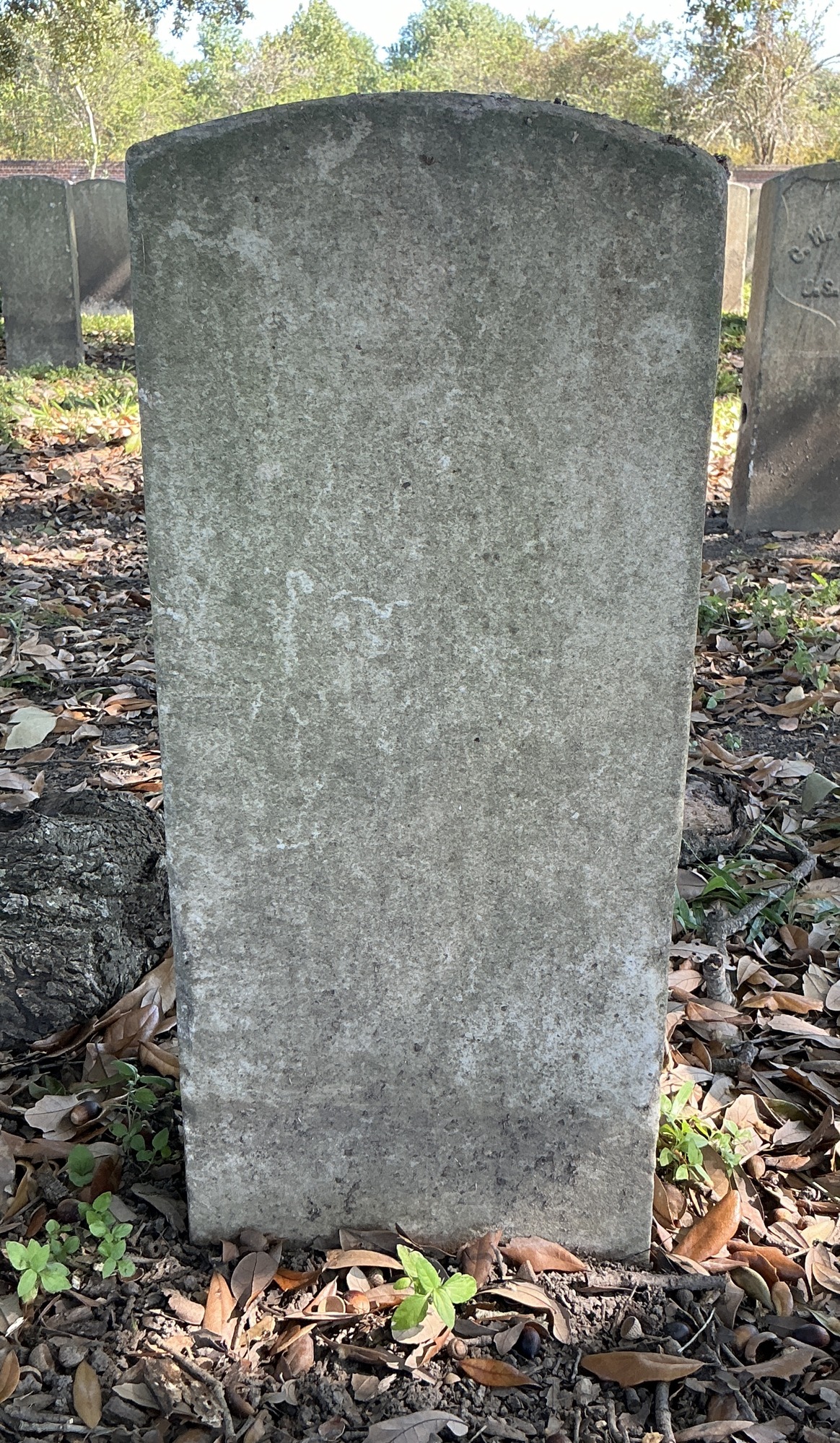 Back of historic upright marble headstone with recessed shield face.