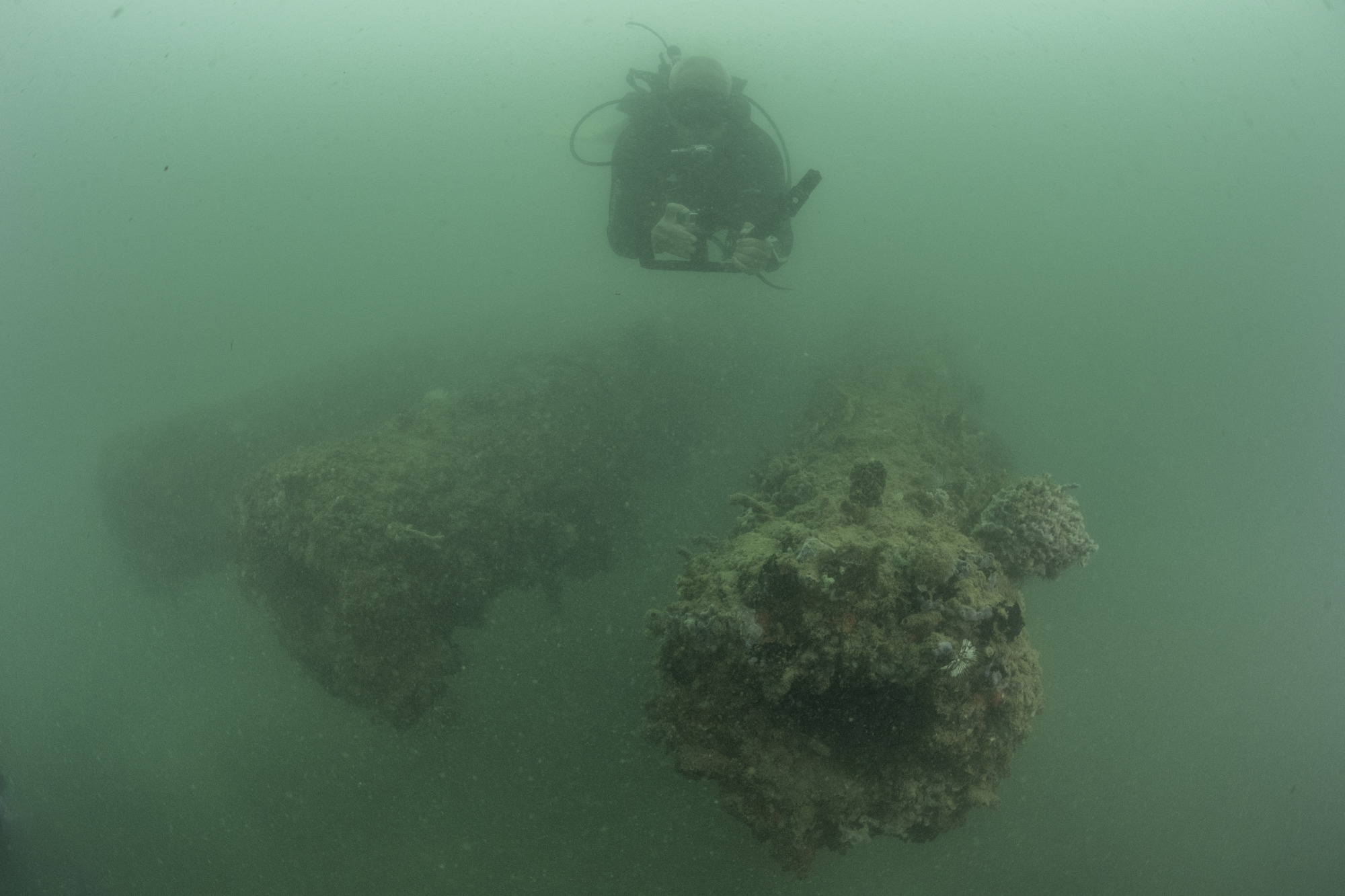 Diving at the USS Arizona.