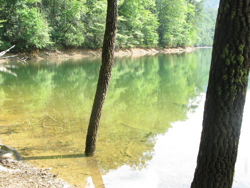 GRSM Accuracy Assessment. Plot Code: GRSM_AA_0179_4