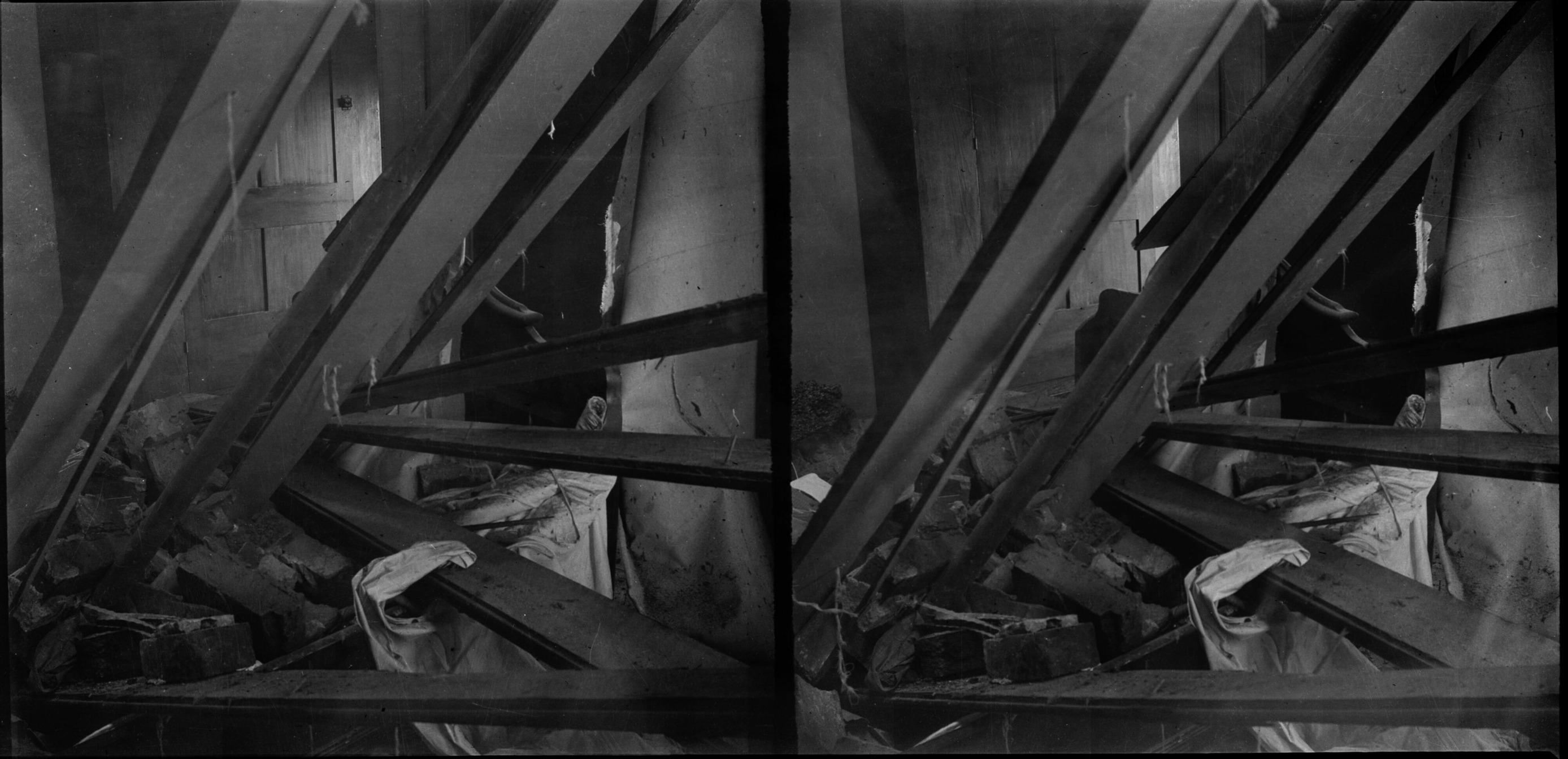 SEKI Roberts Collection Series: 2 Negatives; 15 Stereographs