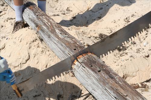 tidal flat disturbance PAIS