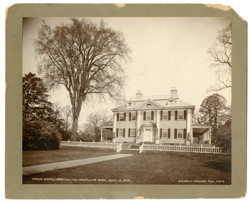 Black and white photograph of Georgian mansion and large tree.