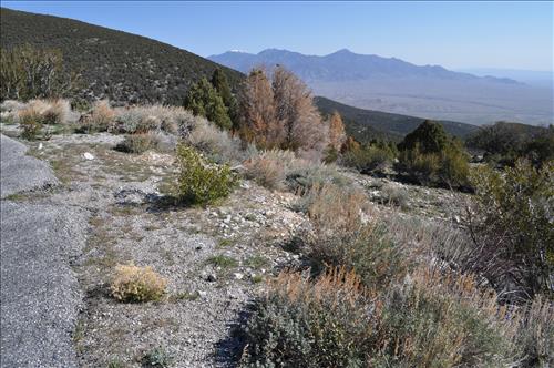 Moriah Overlook ADA compliant construction site