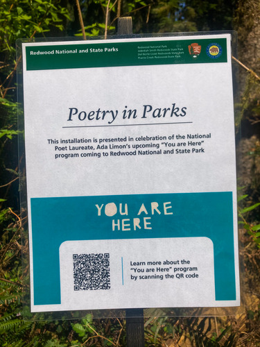 Posted sign reading "Poetry in Parks. This installation is presented in celebration of the National Poety Laureate Ada Limon's upcoming "You are Here" program coming to Redwood National and State Parks. There is a QR code with the caption: "Learn more about the "You are Here" program by scanning the QR code
