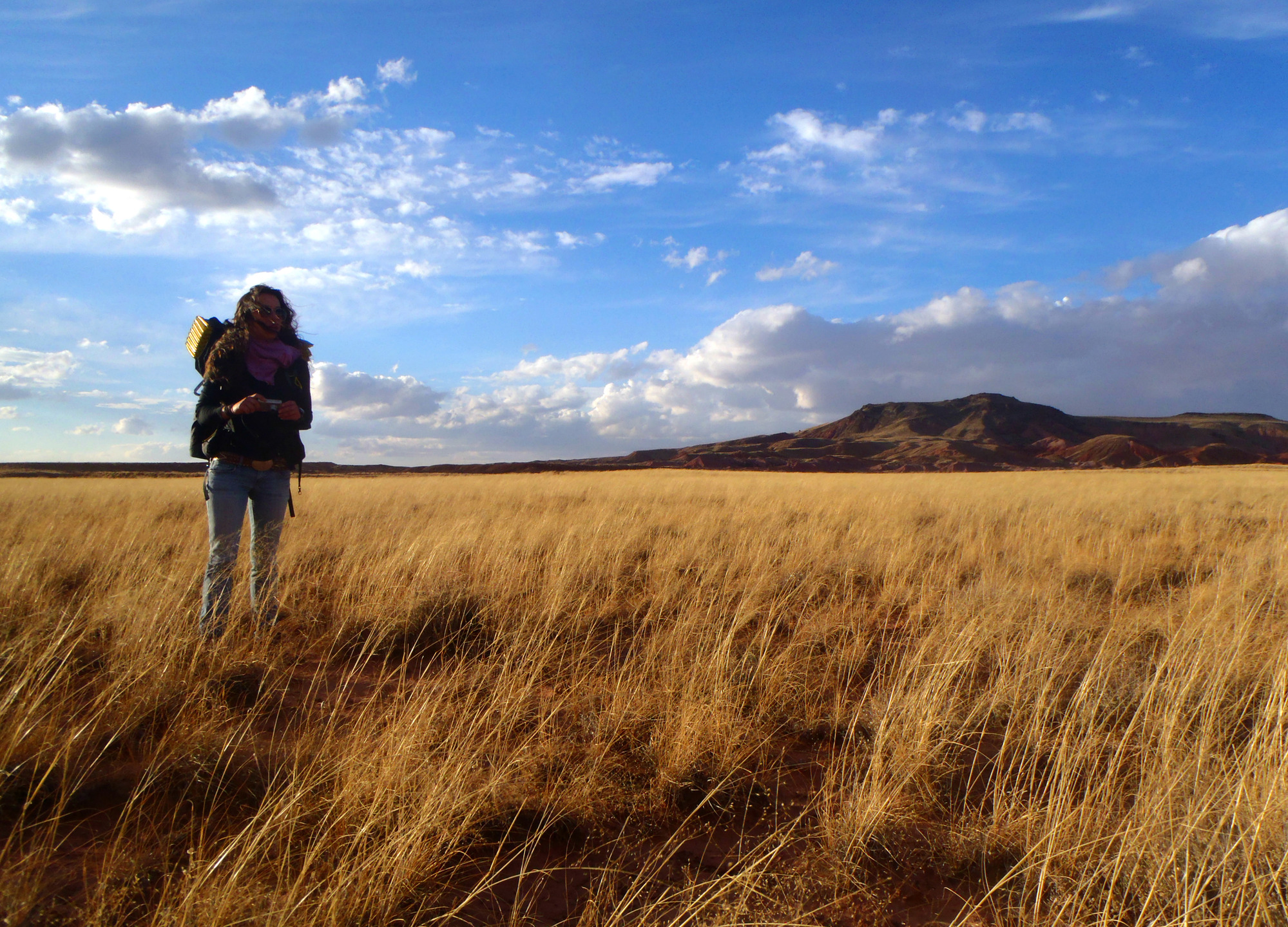 Backpacker in golden grass on a prairie, dark hill in right background under a partly cloudy sky.