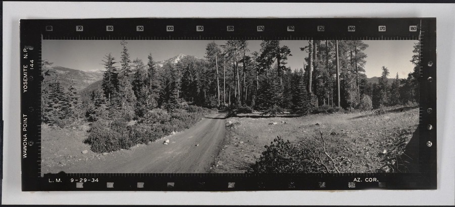 Wawona Point Yosemite