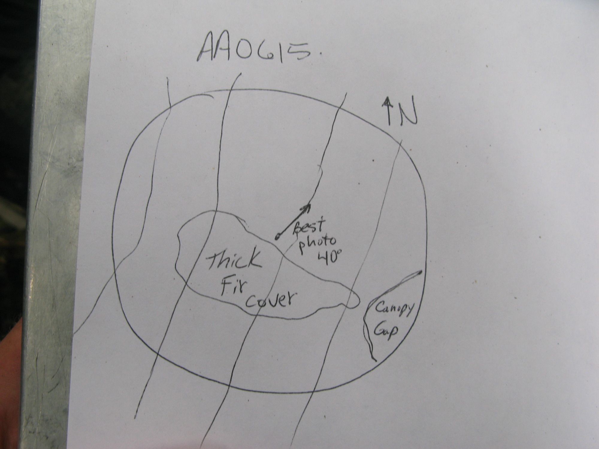 GRSM Accuracy Assessment. Plot Code: GRSM_AA_0615_7