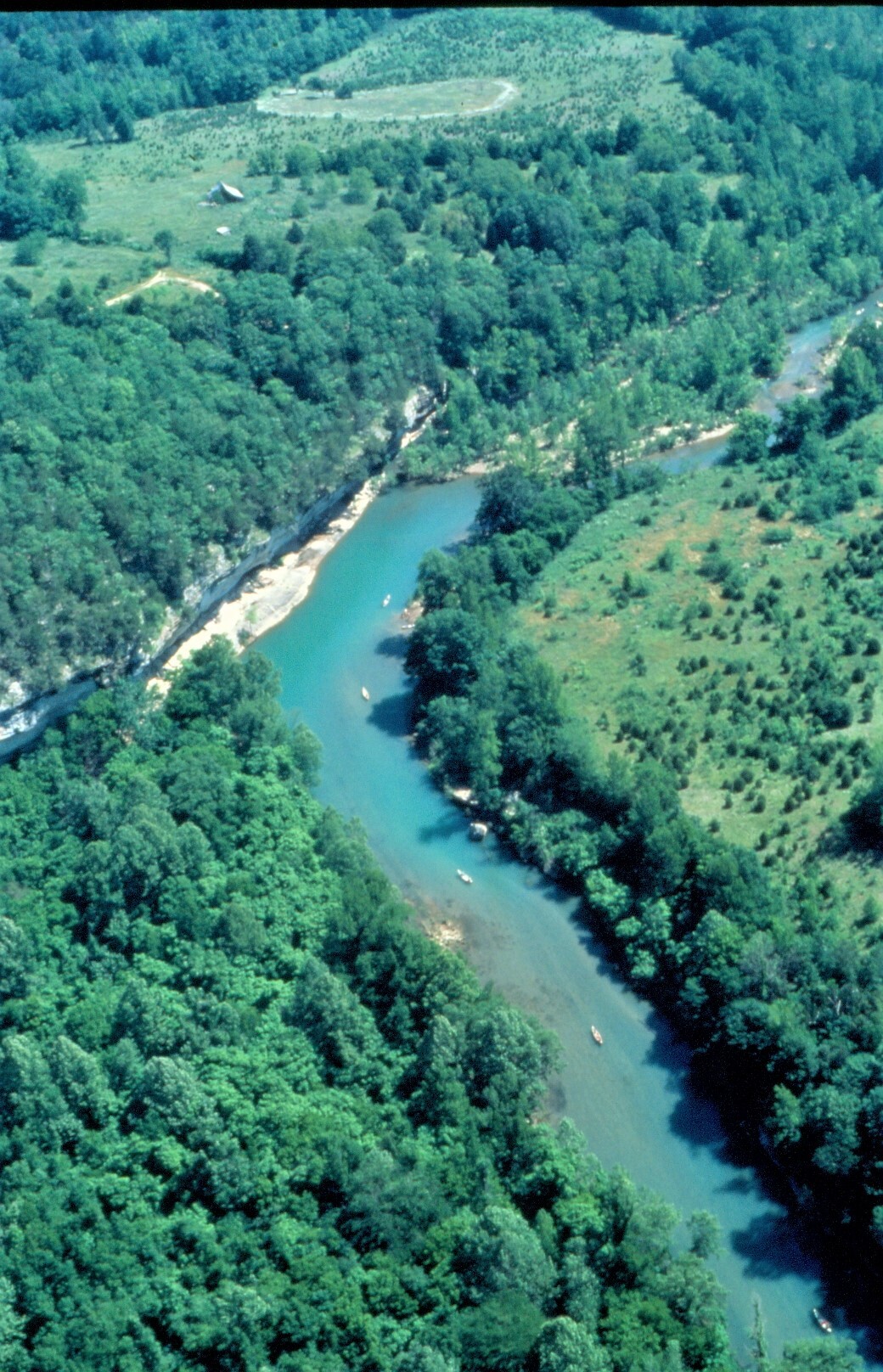Green trees with blue river curving from top right through center to bottom right.