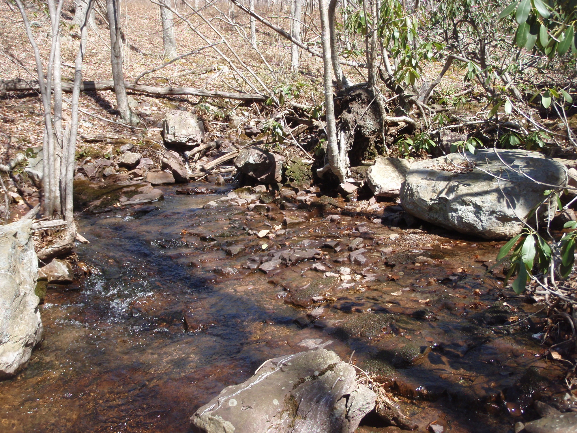 Site visit photo showing the upstream (UP) or downstream (DN) view of a wadeable stream reach taken during benthic macroinvertebrate monitoring at Delaware Water Gap National Recreation Area.