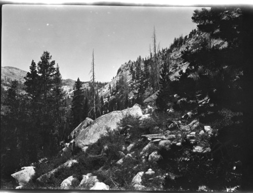 Murphy Creek report.