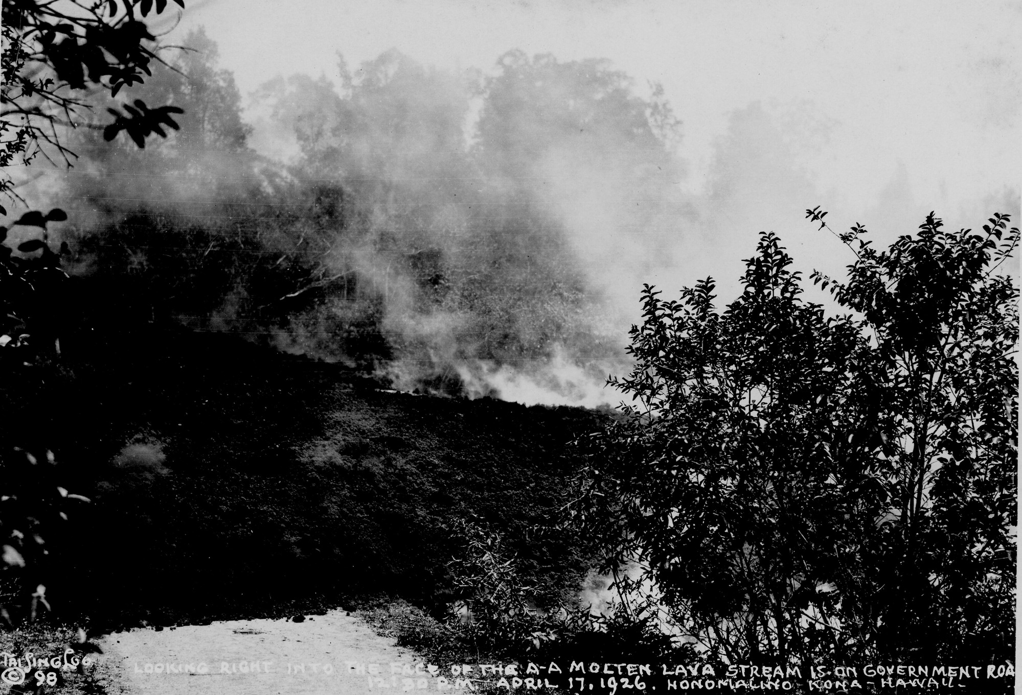 Black and white photograph of vegetation and steam. The forefront of the image shows two trees on the left and right sides. Between these trees, ʻaʻā lava is flowing with steam rising from it. The steam is forming thick clouds, blurring the view of trees in the background. “Tai Sing Loo, copyright 98” is written in the bottom left corner. Stretching along the bottom of the photo is handwriting that reads, “Looking Right Into the Face of the A-A Molten Lava Stream is on Government Roa[d], 12:30 P.M. April 17, 1926. Honomalino, Kona – Hawaii.”