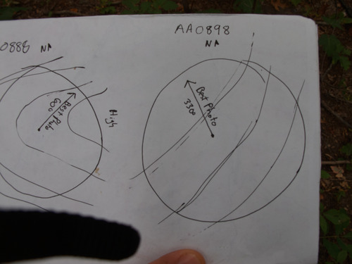 GRSM Accuracy Assessment. Plot Code: GRSM_AA_0898_7