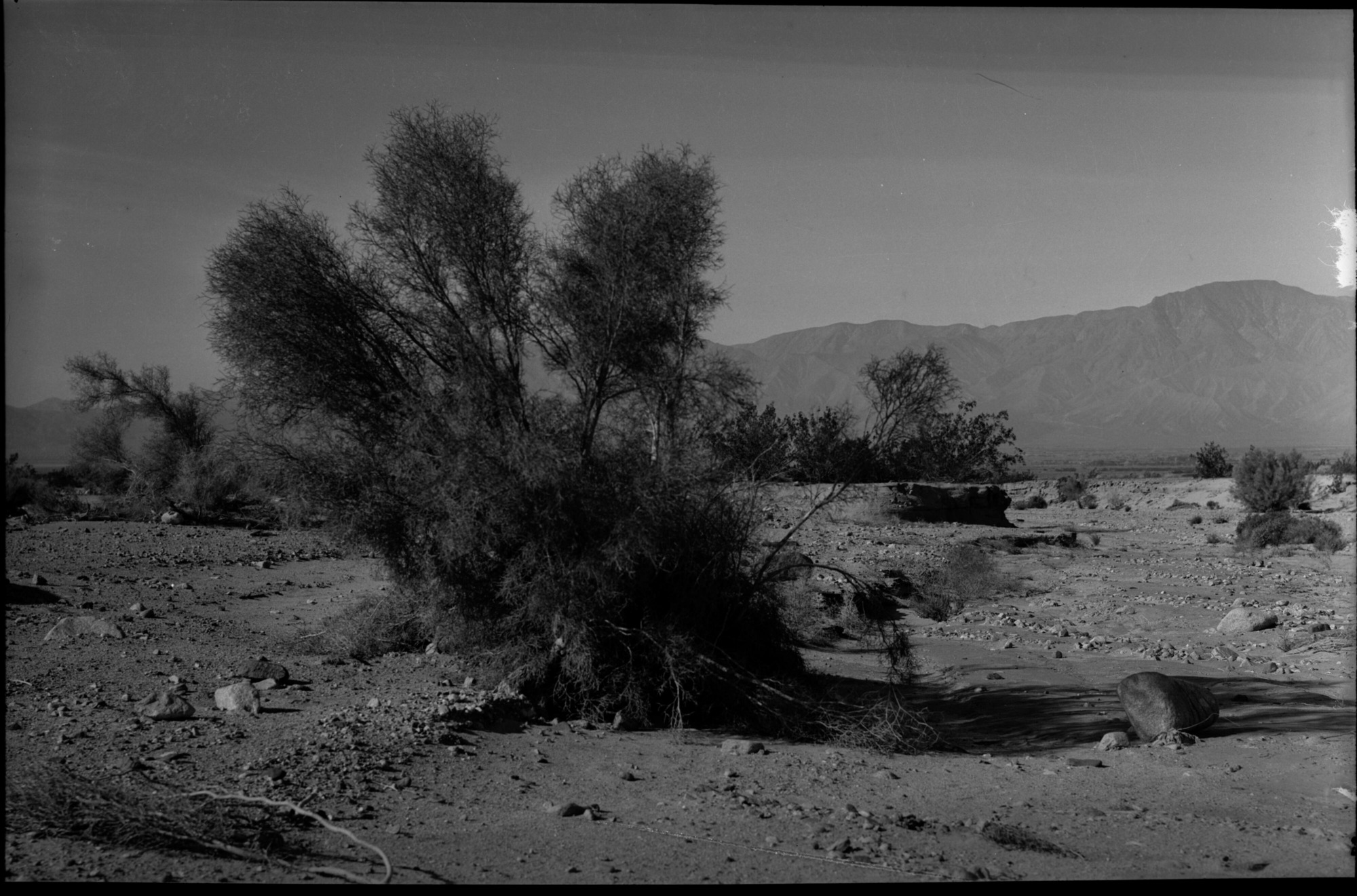 SEKI Roberts Collection Series: 2 Negatives; 10 Outside of the Park