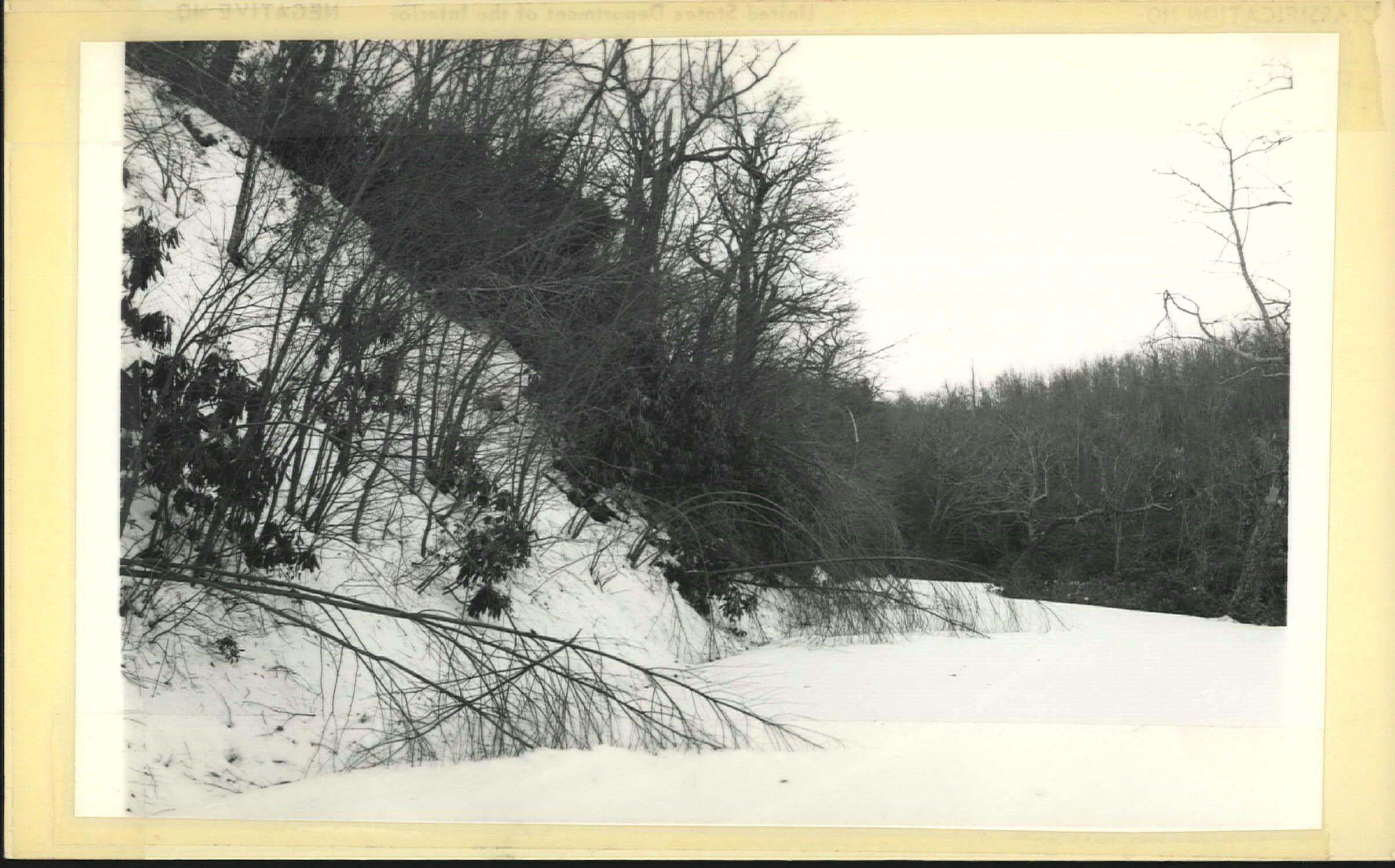 Snow damage to trees on Parkway