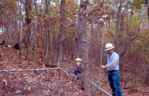 Great Smoky Mountains NP fire staff working, 2002-2004