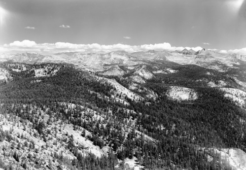Mt. Lyell (McClure and crest) From Clouds Rest - (to show forests and insect infestation).