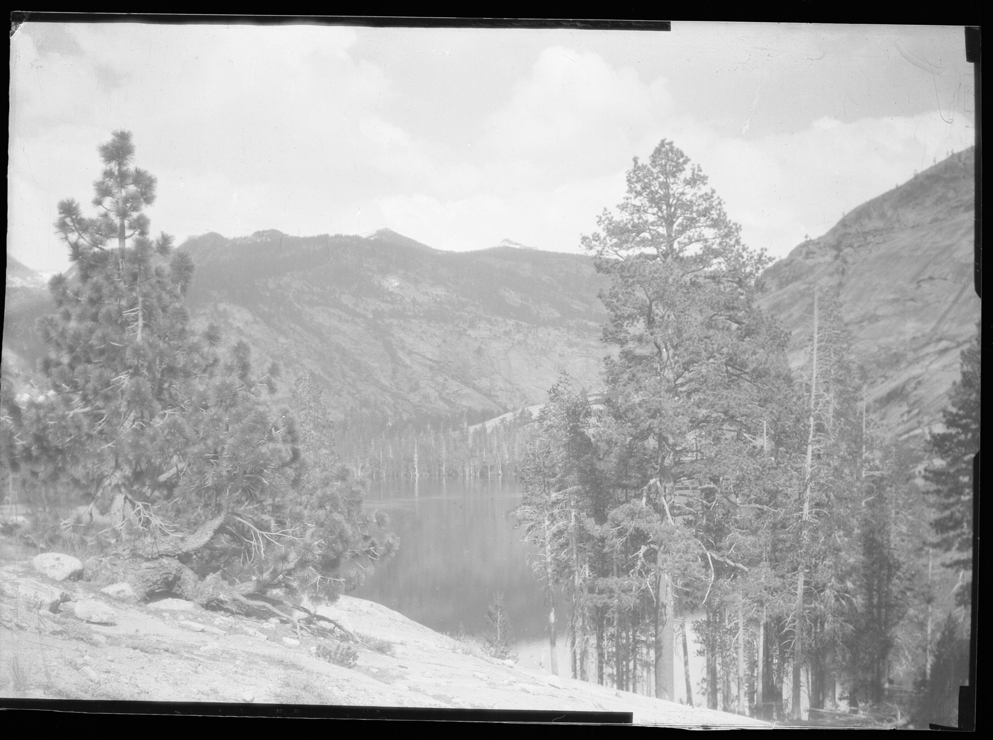 Lake Merced from the west, stunted pine in f.g.. Yosemite Park, Cal.