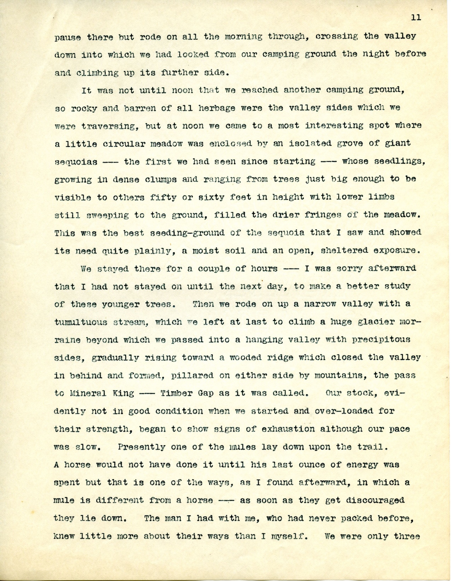 Journal, Dorr, September 1904 p.11