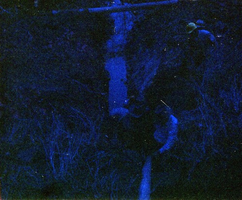 The construction of the Wiley Spring water vault.