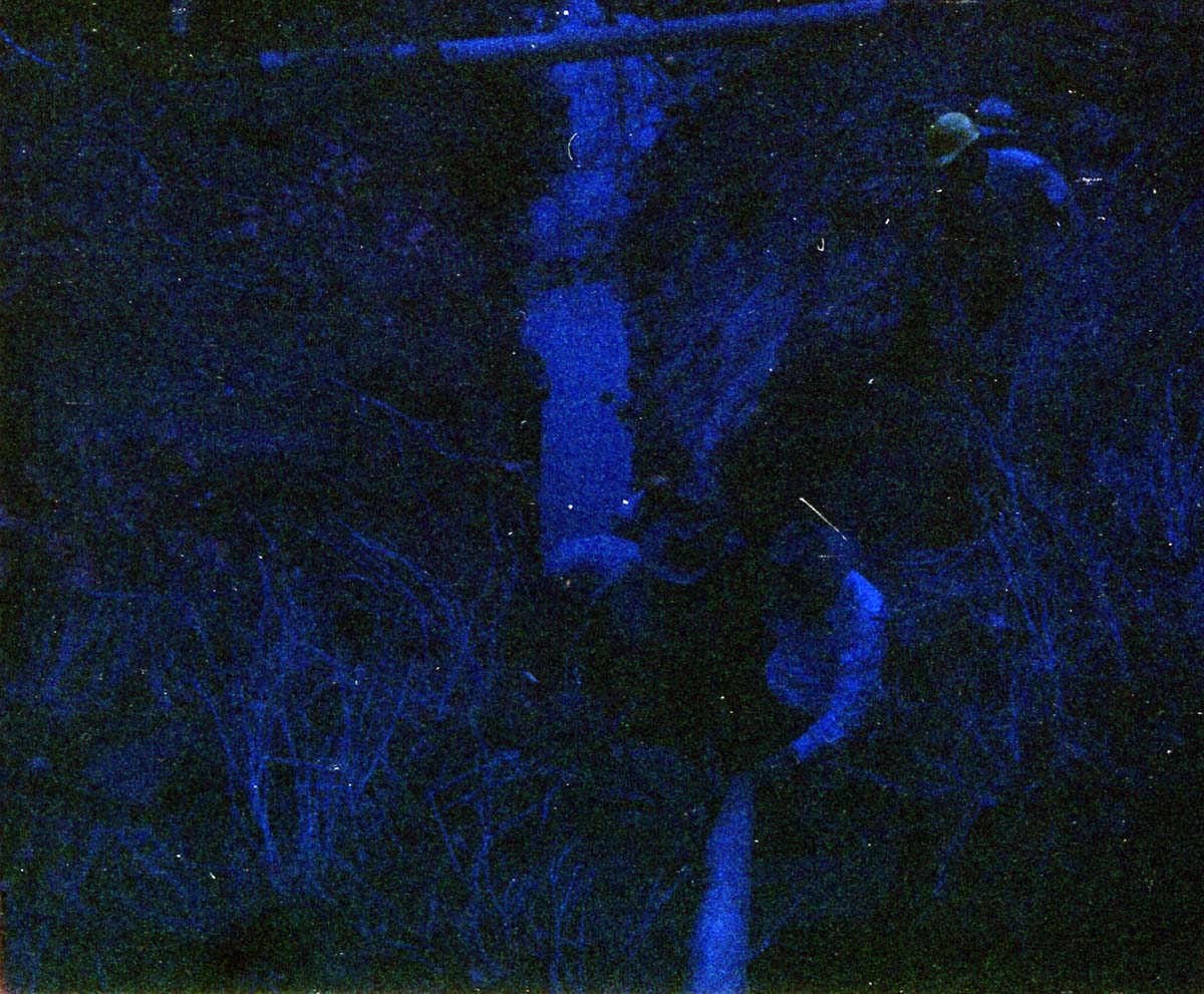 The construction of the Wiley Spring water vault.