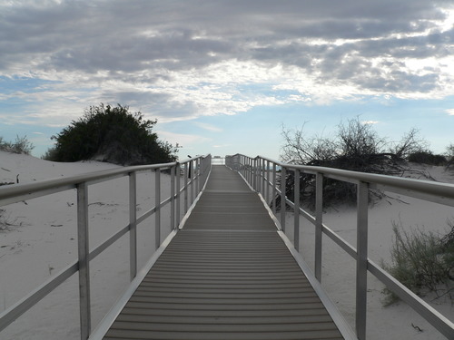 Thematic Websites Photos for Accessibility Website P1030417