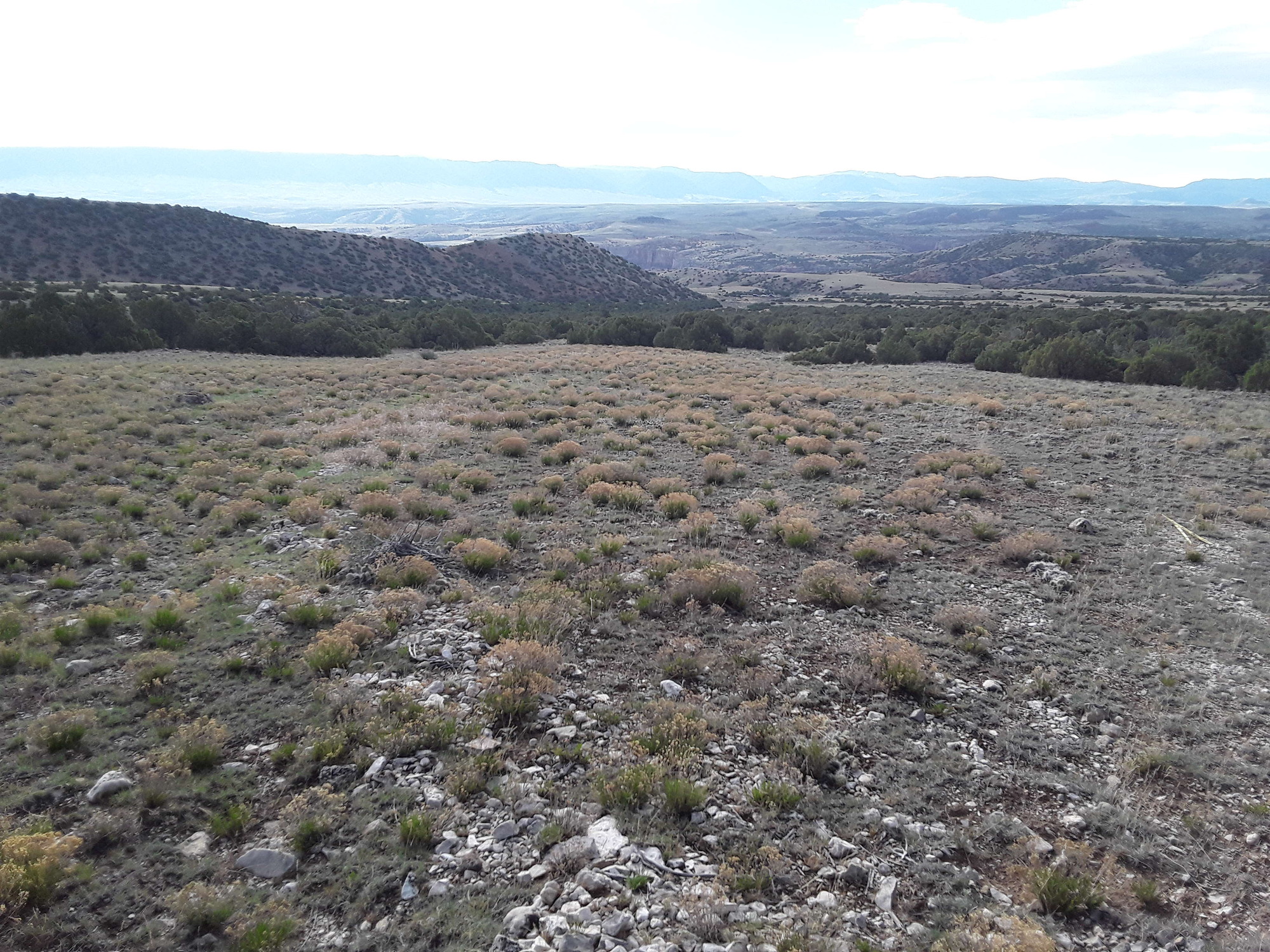 Image of the vegetation and landscape at photo point in Bighorn Canyon NRA 