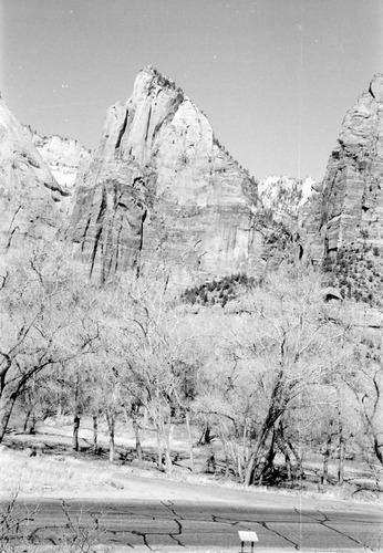 BW Photos of the Court of the Patriarchs - 35mm.