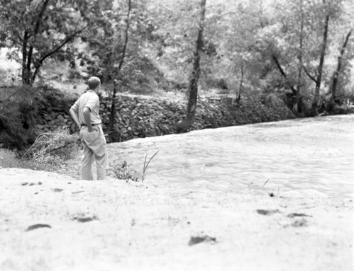 Basket s & mc rock revetment, Virgin River in a moderate flood condition.