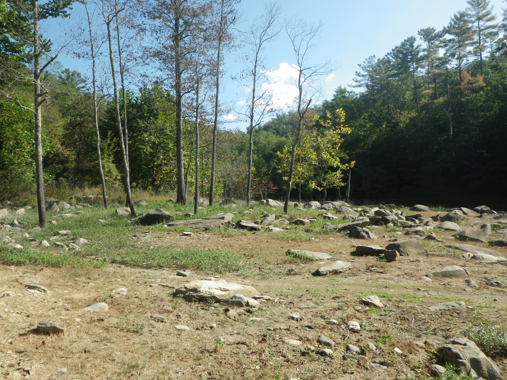 GRSM Accuracy Assessment. Plot Code: GRSM_AA_0140_6