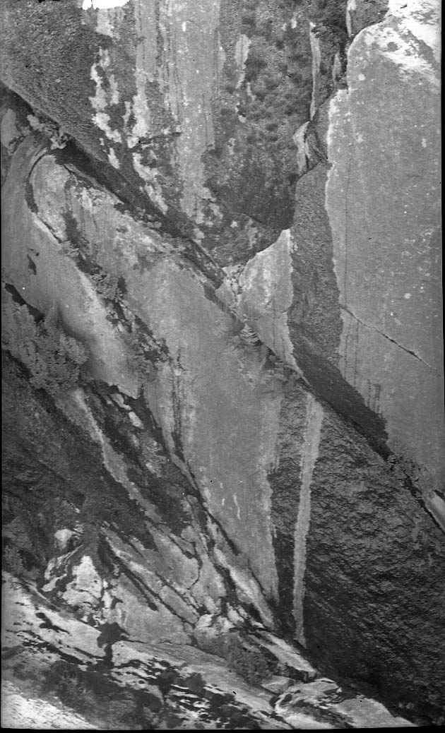 Sequioa National Park