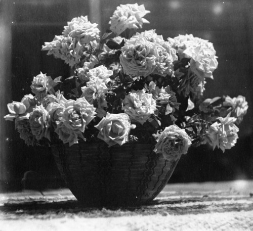 Floral arrangement by Mrs. Wm. (Etta Grace) Sell, Sr. in a Yokuts type basket. Copied from an original in YNP Collections.