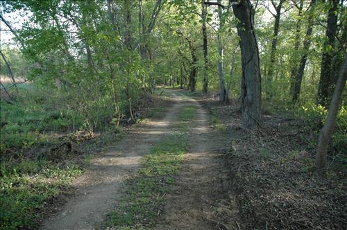 Repair and Stabilize Kenilworth Park Trail System
