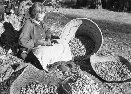 Ta-buce, Maggie Howard, hulling acorns.