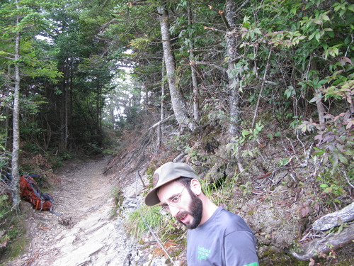 GRSM Accuracy Assessment. Plot Code: GRSM_AA_0887_5