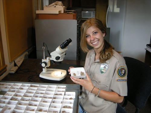 a young woman in a khaki uniform sits at a desk full of fossil specimens and smiles at the camera while holding a fossil specimen in a white box. 
