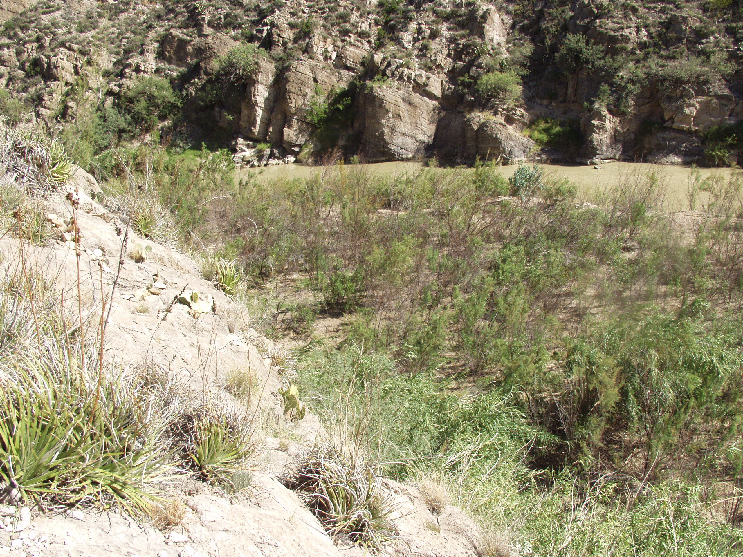 Photo of the Rio Grande