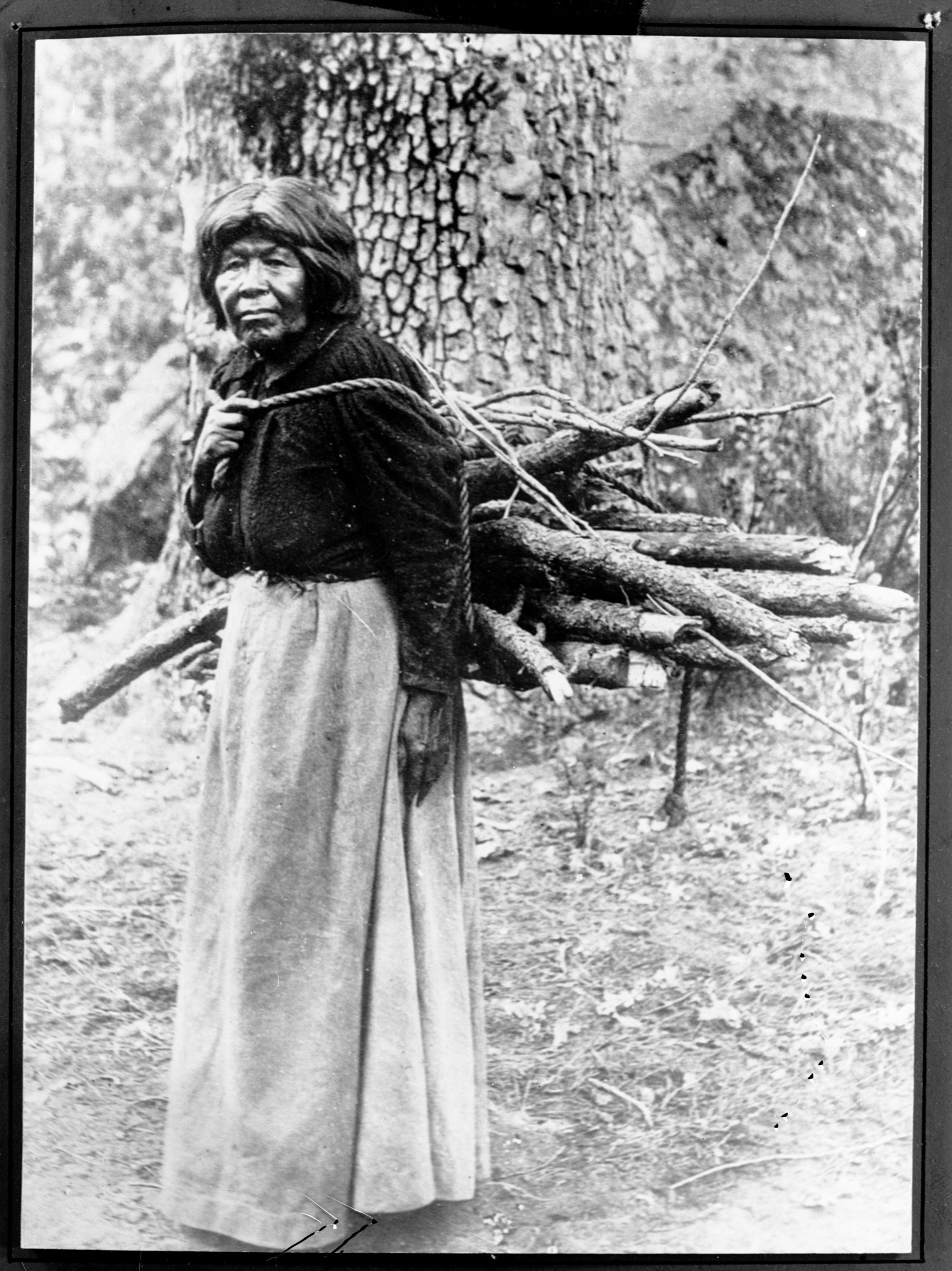 Early day Yosemite Native American bearing burden. "Mary" or "Indian Mary". Copied by Ralph H. Anderson, April 1941. [See also RL-14,231].