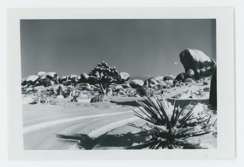 Black and white image of snow scene