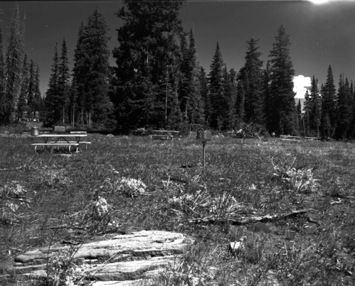 Picnic area with stoves and picnic tables in meadow at Cedar Breaks National Monument campground.