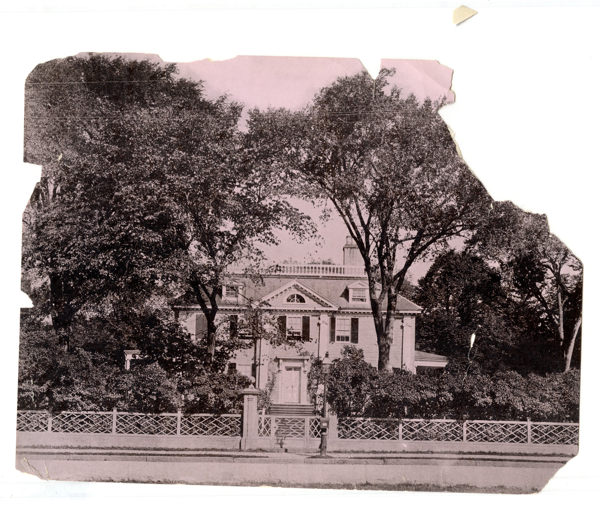 Georgian mansion from across the street framed by two tall trees