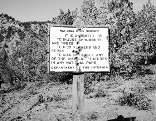 Holes made in an NPS sign by use of a miner's or geologist's pick, along the trail to the three forks of Taylor Creek.